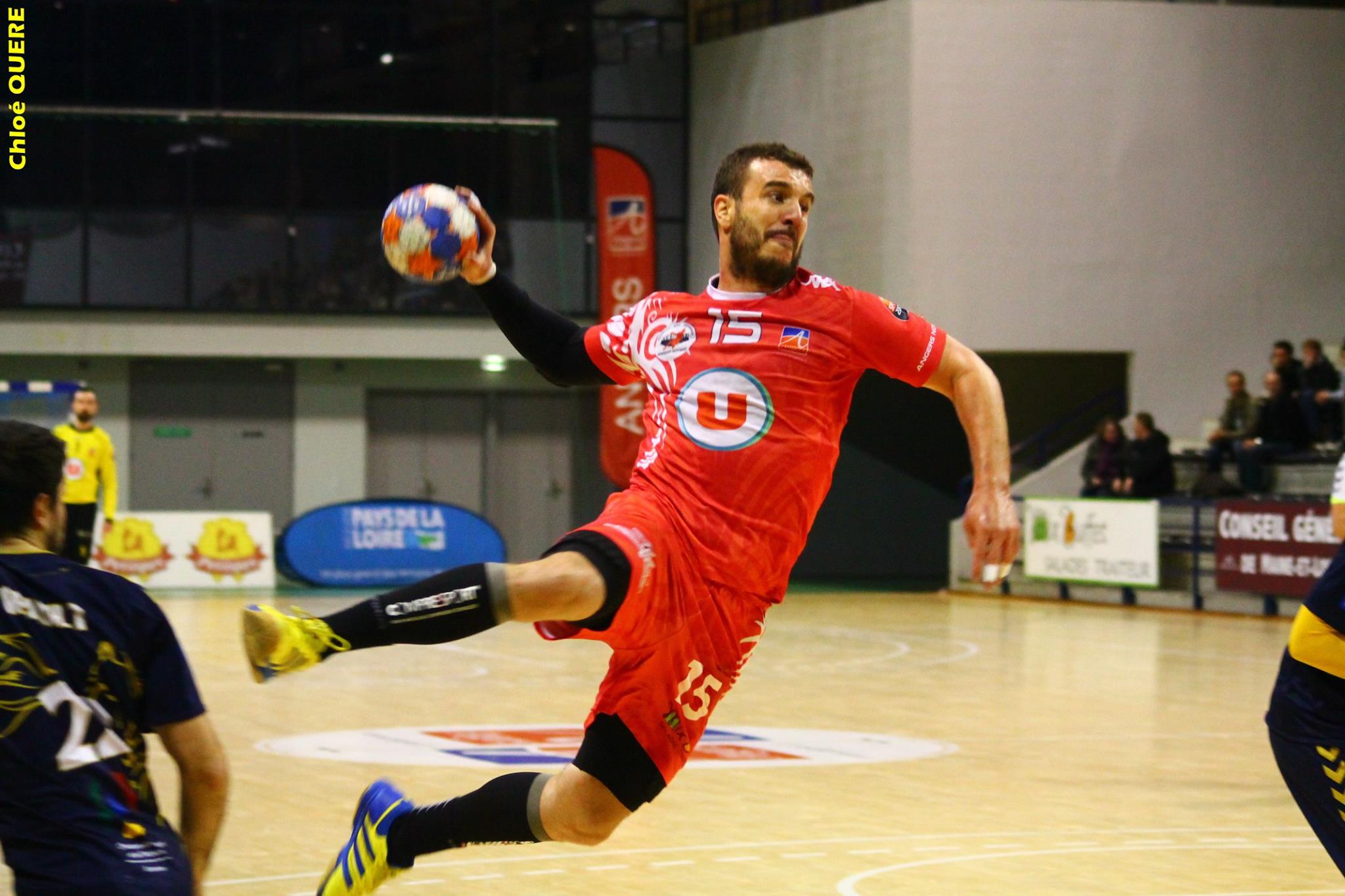 Handball ProD2 – J16 : Reprendre Ses Droits - FFHandball