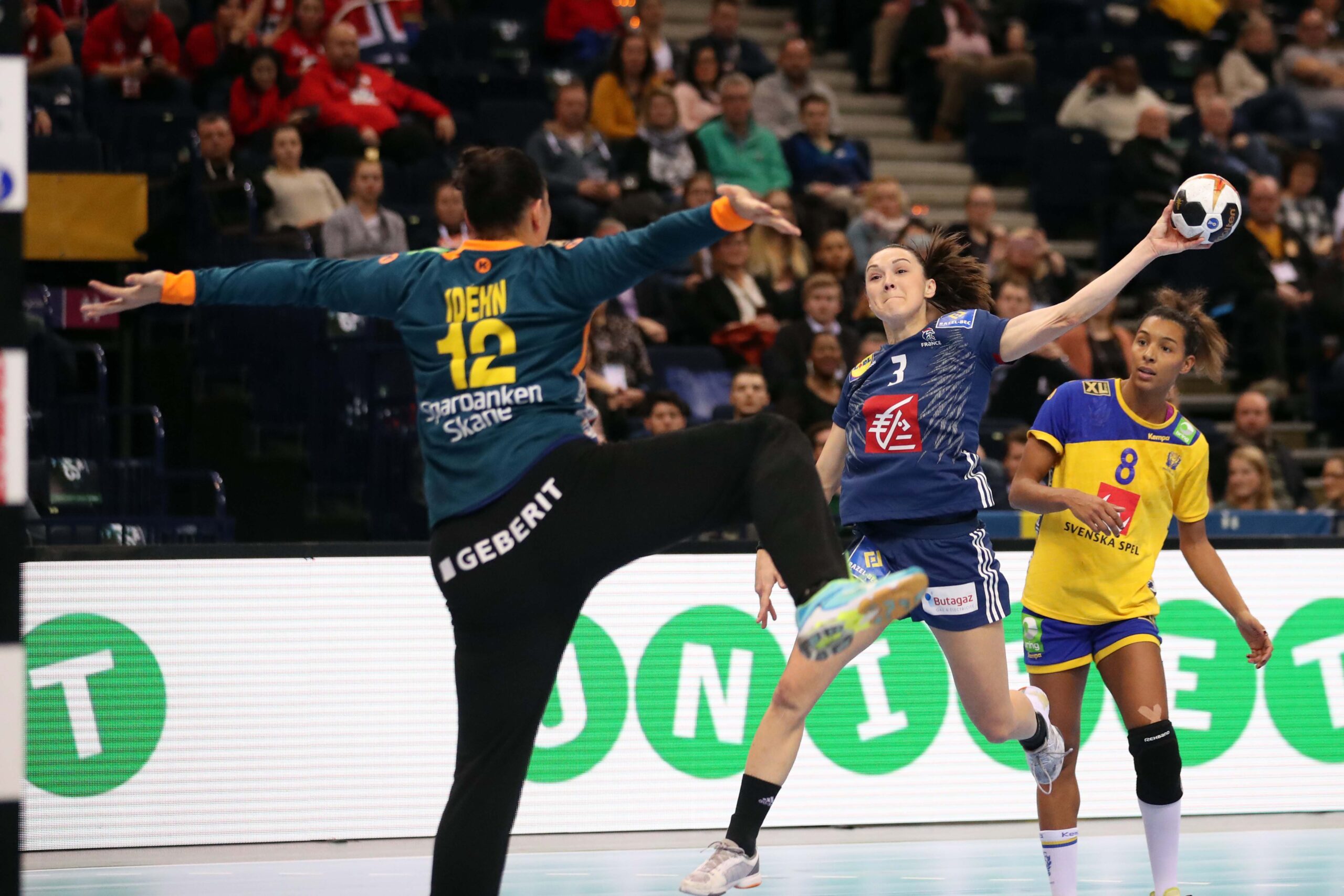 #Mondial 2017 - Les Bleues S'offrent Une Finale Mondiale - FFHandball